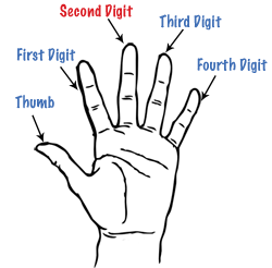 Hand diagram labeling the middle finger as the Second Digit